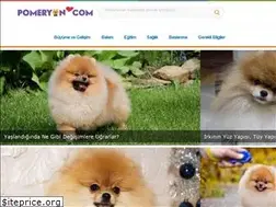 Sites similar to pomeryan.com