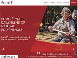 Sites similar to pomi-t.com