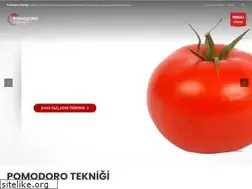 Sites similar to pomodoroteknigi.com