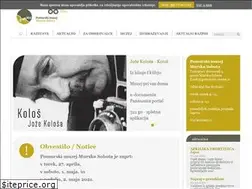 Sites similar to pomurski-muzej.si