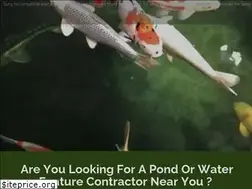 Sites similar to pond-maintenance.services