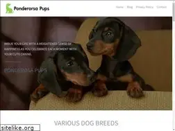 Sites similar to ponderosapups.com