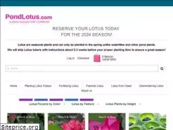 Sites similar to pondlotus.com