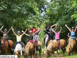 Sites similar to poneysincarville.com