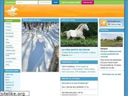 Sites similar to poneyxpress.com