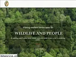 Sites similar to pongoalliance.org