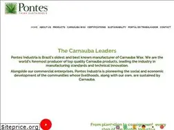 Sites similar to pontes.ind.br