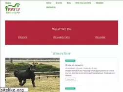 Sites similar to ponyuprescue.org