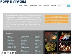Sites similar to poppe-images.com