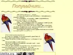 Sites similar to poppopug.narod.ru