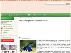 Sites similar to popugajchik.ru