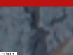 Sites similar to popupgourmetjamaica.com