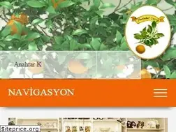 Sites similar to portakalcicegi.net