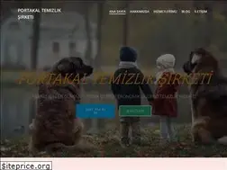 Sites similar to portakaltemizlik.com