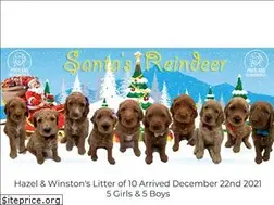 Sites similar to portlandgoldendoodles.com