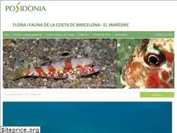 Sites similar to posidonia.cat