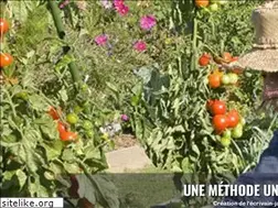 Sites similar to potagerencarres.info