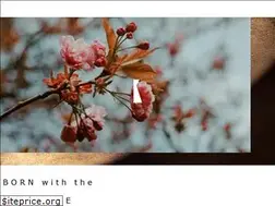 Sites similar to potatomegane.com