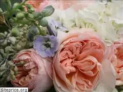 Sites similar to potofgreenflorist.com