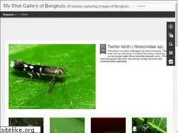 Sites similar to potokito-myshot.blogspot.com