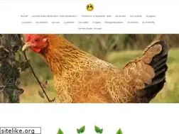 Sites similar to poulailler-bio.fr