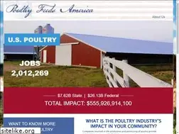 Sites similar to poultryfeedsamerica.org