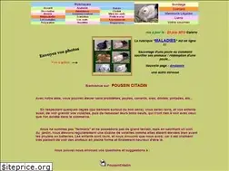 Sites similar to poussincitadin.free.fr