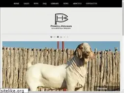 Sites similar to powellholman.com