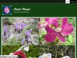 Sites similar to powerflower.fr