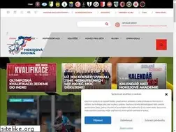 Sites similar to pozemnihokej.cz