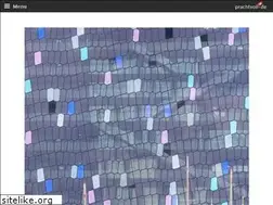 Sites similar to prachtvoll.de