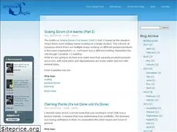 Sites similar to practicalagile.co.uk