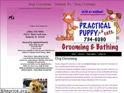 Sites similar to practicalpuppydeland.com