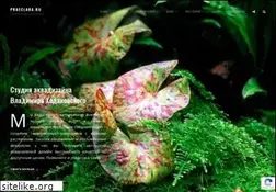 Sites similar to praeclara.ru