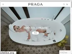 Sites similar to pragasalon.com