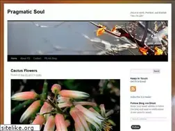 Sites similar to pragmaticsoul.wordpress.com