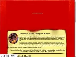 Sites similar to praisesenterprises.com