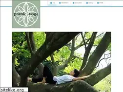 Sites similar to pranic-yoga.com
