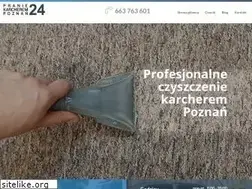 Sites similar to praniepoznan.pl
