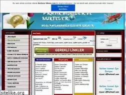Sites similar to pratikbilgiler-nukteler.tr.gg
