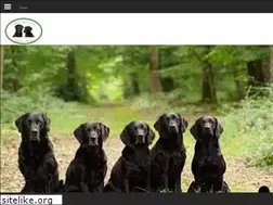 Sites similar to preciousblack.nl
