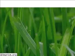 Sites similar to precisioncutlawn.com
