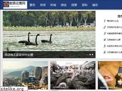 Sites similar to prediksilive.com