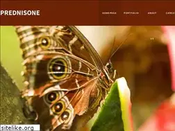 Sites similar to prednis.com