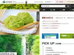 Sites similar to pref.miyagi.jp