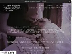 Sites similar to pregnancymassage.com