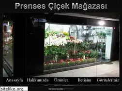 Sites similar to prensescicek.com