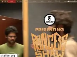 Sites similar to presentingprincessshaw.com