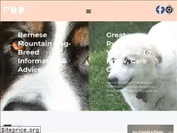 Sites similar to prettypup.co.uk
