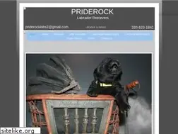 Sites similar to priderocklabs.com